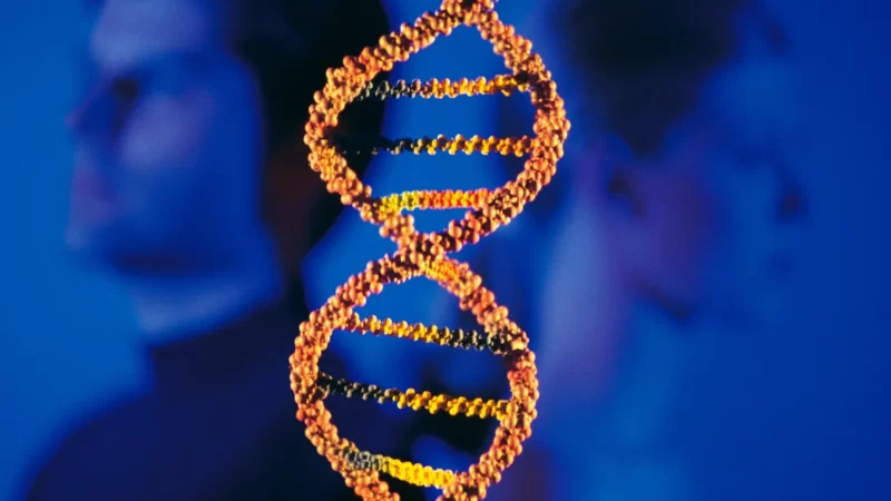 3 Things You Need to Know About DNA Tests